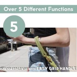 Awoo City Standard Dog Leash, 5-ft Long -PetSafe Kong Shop 363709 PT6. AC SS1800 V1643761955