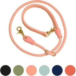 Awoo City Standard Dog Leash, 5-ft Long -PetSafe Kong Shop 363709 PT7. AC SS1800 V1643768406