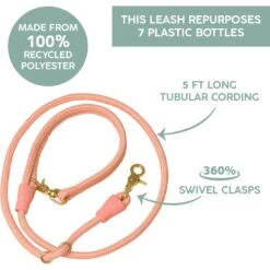 Awoo City Standard Dog Leash, 5-ft Long -PetSafe Kong Shop 363709 PT8. AC SS1800 V1643770879