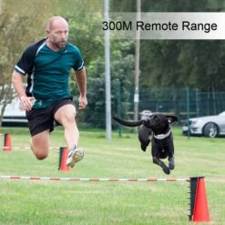 PATPET P651A Vibration & Beep Remote Dog Training Collar & NFC ID Tag, Grey -PetSafe Kong Shop 363750 PT4. AC SS1800 V1647964896