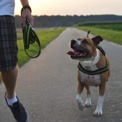 PATPET P651A Vibration & Beep Remote Dog Training Collar & NFC ID Tag, Grey -PetSafe Kong Shop 363750 PT7. AC SS1800 V1647966081