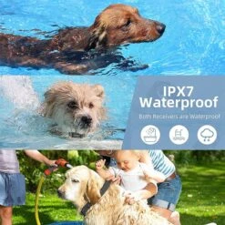 PATPET P690 300M Remote Dog Training Collar, Black -PetSafe Kong Shop 363752 PT3. AC SS1800 V1657657334