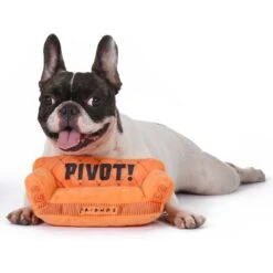 Fetch For Pets Friends Pivot Couch Plush Squeak Dog Toy -PetSafe Kong Shop 363766 PT3. AC SS1800 V1643251992