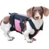 Walkin' Pets Dog Walkin' VertebraVe, Pink