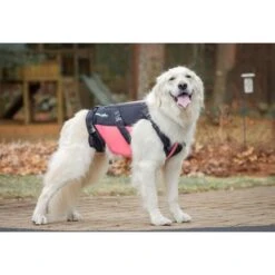 Walkin' Pets Dog Walkin' VertebraVe, Pink -PetSafe Kong Shop 363851 PT4. AC SS1800 V1643928681