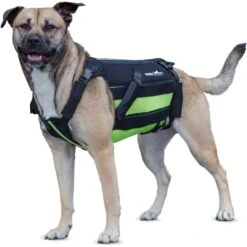 Walkin' Pets Dog Walkin' VertebraVe, Green