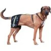 Walkin' Pets Dog Walkin' Hip-EEZ Support System, Black