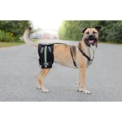 Walkin' Pets Dog Walkin' Hip-EEZ Support System, Black -PetSafe Kong Shop 363863 PT4. AC SS1800 V1643927336