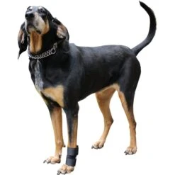 Walkin' Pets Dog Walkin' Wrist Hugger, Black