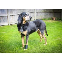 Walkin' Pets Dog Walkin' Wrist Hugger, Black -PetSafe Kong Shop 363873 PT5. AC SS1800 V1643927546