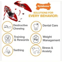 Nylabone Advanced Oral Care Original Flavor Puppy Dental Kit & Nylabone Puppy Pacifier Teething Toy Chew Teething Pacifier Bacon -PetSafe Kong Shop 365504 PT7. AC SS1800 V1644018124