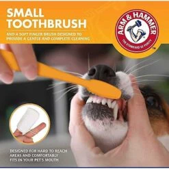 ARM & HAMMER PRODUCTS Tartar Control Vanilla-Ginger Flavored Enzymatic Puppy Dental Training Kit & Nylabone Puppy Pacifier Teething Toy Chew Teething Pacifier Bacon -PetSafe Kong Shop 365506 PT4. AC SS1800 V1644020831