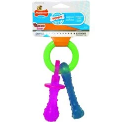 ARM & HAMMER PRODUCTS Tartar Control Vanilla-Ginger Flavored Enzymatic Puppy Dental Training Kit & Nylabone Puppy Pacifier Teething Toy Chew Teething Pacifier Bacon -PetSafe Kong Shop 365506 PT5. AC SS1800 V1644017202