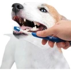 Nylabone Advanced Oral Care Original Flavor Puppy Dental Kit & N-Bone Puppy Teething Sticks Chicken Flavor Dog Treats -PetSafe Kong Shop 365512 PT4. AC SS1800 V1644016338