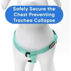 Pawtitas Solid Dog & Cat Harness -PetSafe Kong Shop 365740 PT3. AC SS1800 V1680550261