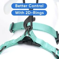 Pawtitas Solid Dog & Cat Harness -PetSafe Kong Shop 365740 PT4. AC SS1800 V1680548607