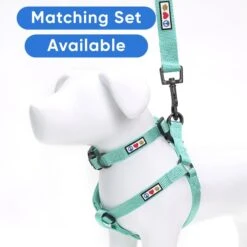 Pawtitas Solid Dog & Cat Harness -PetSafe Kong Shop 365740 PT5. AC SS1800 V1680617333