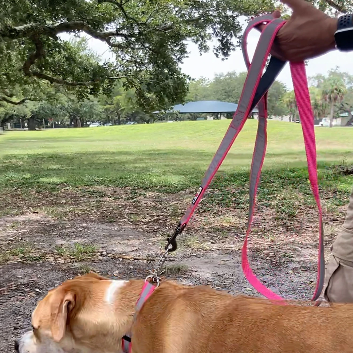 Pawtitas Padded Reflective Dog Leash 2 Handles 2 Pawtitas Padded Reflective Dog Leash 2 Handles - Image 2