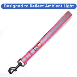Pawtitas Padded Reflective Short Dog Leash -PetSafe Kong Shop 365803 PT3. AC SS1800 V1680614400