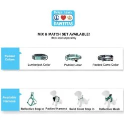 Pawtitas Padded Reflective Short Dog Leash -PetSafe Kong Shop 365803 PT5. AC SS1800 V1680548031