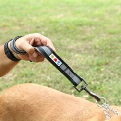 Pawtitas Padded Reflective Short Dog Leash -PetSafe Kong Shop 365803 PT7. AC SS1800 V1680548150