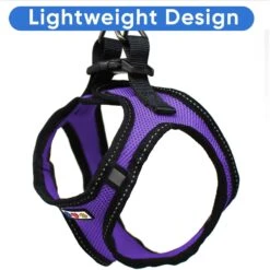 Pawtitas Reflective Mesh Dog Harness -PetSafe Kong Shop 365850 PT4. AC SS1800 V1682084983