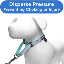 Pawtitas Reflective Martingale Dog Collar -PetSafe Kong Shop 365936 PT4. AC SS1800 V1681753386