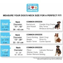 Pawtitas Reflective Martingale Dog Collar -PetSafe Kong Shop 365936 PT6. AC SS1800 V1681755030