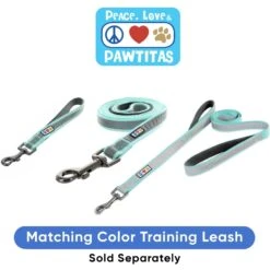 Pawtitas Reflective Martingale Dog Collar -PetSafe Kong Shop 365936 PT8. AC SS1800 V1681753348