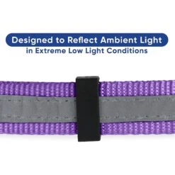 Pawtitas Reflective Chain Martingale Dog Collar -PetSafe Kong Shop 365979 PT3. AC SS1800 V1646076130