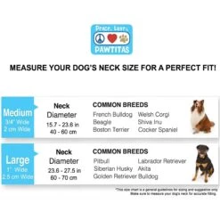 Pawtitas Reflective Chain Martingale Dog Collar -PetSafe Kong Shop 365979 PT4. AC SS1800 V1646084523