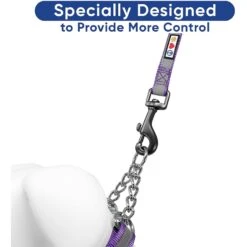 Pawtitas Reflective Chain Martingale Dog Collar -PetSafe Kong Shop 365979 PT5. AC SS1800 V1646082116