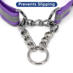 Pawtitas Reflective Chain Martingale Dog Collar -PetSafe Kong Shop 365979 PT6. AC SS1800 V1646091734