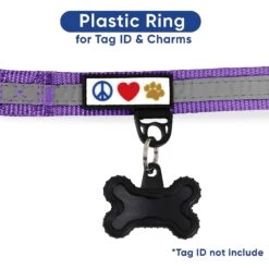 Pawtitas Reflective Chain Martingale Dog Collar -PetSafe Kong Shop 365979 PT7. AC SS1800 V1646089633