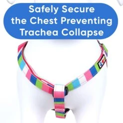 Pawtitas Dog Harness -PetSafe Kong Shop 366030 PT5. AC SS1800 V1646081524