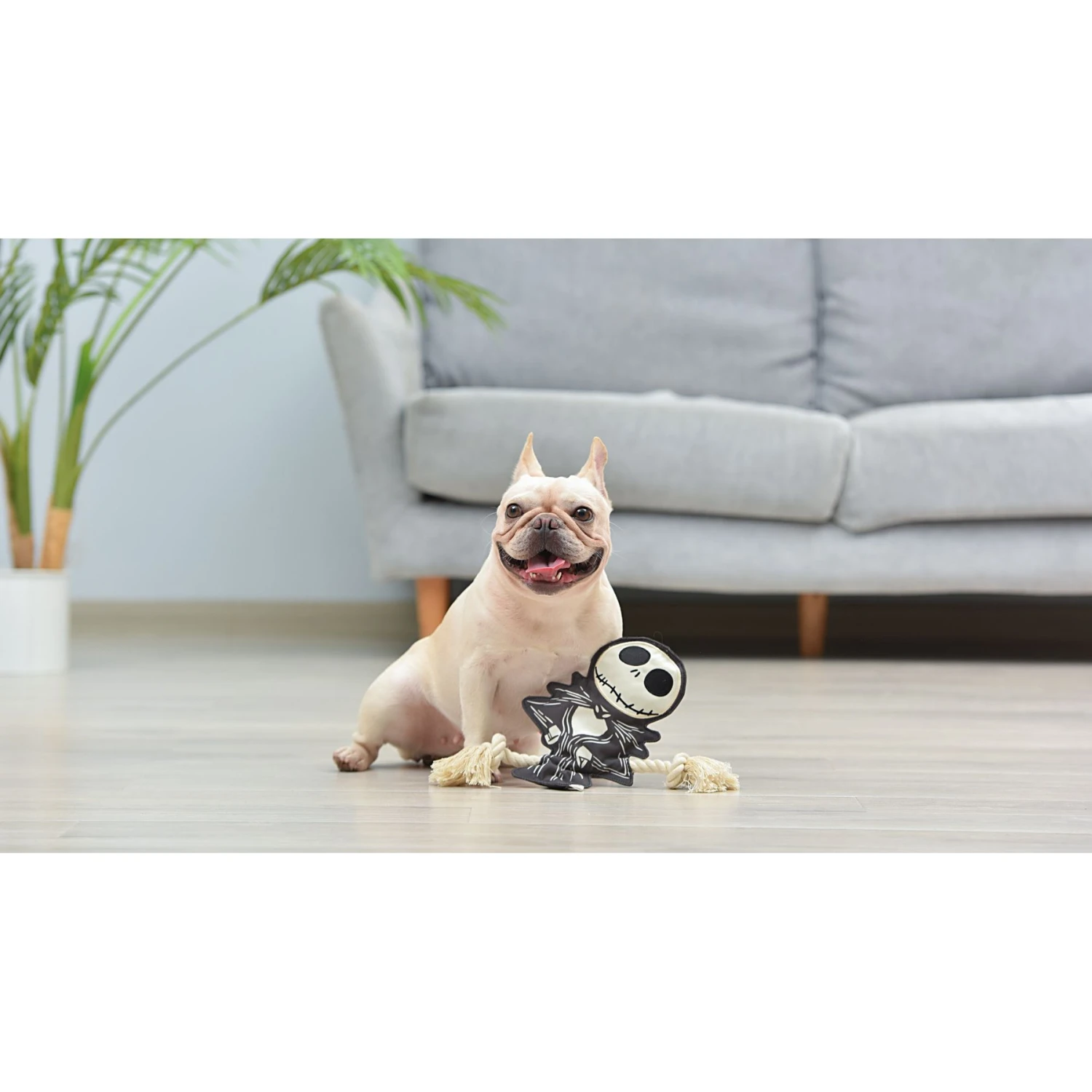 Fetch For Pets Nightmare Before Christmas Halloween Jack Skellington Flattie Dog Toy 5 Fetch For Pets Nightmare Before Christmas Halloween Jack Skellington Flattie Dog Toy - Image 5