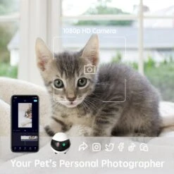 ENABOT EBO SE Automatic Smart Robot Camera -PetSafe Kong Shop 367422 PT5. AC SS1800 V1647551206