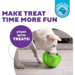 Planet Dog Orbee-Tuff Snoop Interactive Treat Dispensing Dog Toy -PetSafe Kong Shop 367753 PT1. AC SS1800 V1644532589