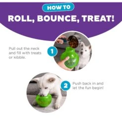 Planet Dog Orbee-Tuff Snoop Interactive Treat Dispensing Dog Toy -PetSafe Kong Shop 367753 PT3. AC SS1800 V1644528180