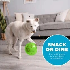 Planet Dog Orbee-Tuff Snoop Interactive Treat Dispensing Dog Toy -PetSafe Kong Shop 367753 PT4. AC SS1800 V1644527256