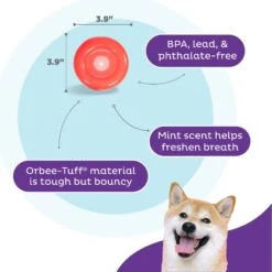 Planet Dog Orbee-Tuff Lil' Snoop Interactive Treat Dispensing Dog Toy -PetSafe Kong Shop 367755 PT2. AC SS1800 V1687966990