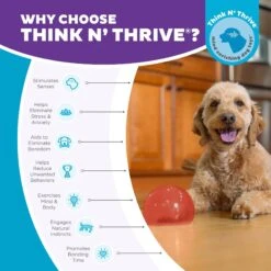 Planet Dog Orbee-Tuff Lil' Snoop Interactive Treat Dispensing Dog Toy -PetSafe Kong Shop 367755 PT5. AC SS1800 V1687966990