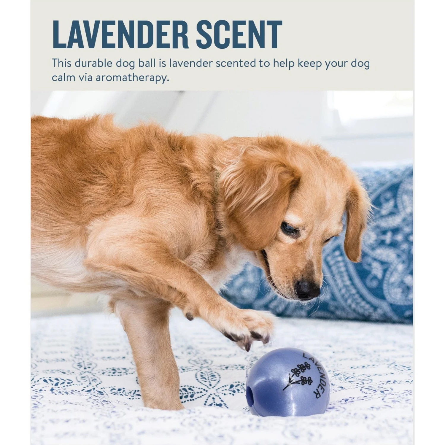 Planet Dog Orbee-Tuff Essentials Lavender Scented Interactive Dog Ball Treat Dispenser Toy, Purple 2 Planet Dog Orbee-Tuff Essentials Lavender Scented Interactive Dog Ball Treat Dispenser Toy, Purple - Image 2