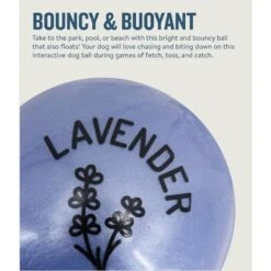 Planet Dog Orbee-Tuff Essentials Lavender Scented Interactive Dog Ball Treat Dispenser Toy, Purple 11 Planet Dog Orbee-Tuff Essentials Lavender Scented Interactive Dog Ball Treat Dispenser Toy, Purple -PetSafe Kong Shop 367761 PT3. AC SS1800 V1675356950