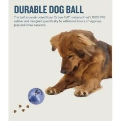 Planet Dog Orbee-Tuff Essentials Lavender Scented Interactive Dog Ball Treat Dispenser Toy, Purple 12 Planet Dog Orbee-Tuff Essentials Lavender Scented Interactive Dog Ball Treat Dispenser Toy, Purple -PetSafe Kong Shop 367761 PT4. AC SS1800 V1675356345