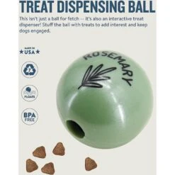 Planet Dog Orbee-Tuff Essentials Rosemary Scented Interactive Dog Ball Treat Dispenser Toy, Green -PetSafe Kong Shop 367763 PT2. AC SS1800 V1644532054