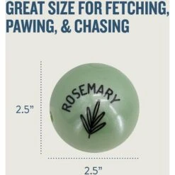 Planet Dog Orbee-Tuff Essentials Rosemary Scented Interactive Dog Ball Treat Dispenser Toy, Green -PetSafe Kong Shop 367763 PT5. AC SS1800 V1644522992