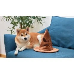 Fetch For Pets Harry Potter House Sorting Hat Burrow Dog Toy -PetSafe Kong Shop 367779 PT7. AC SS1800 V1645220798