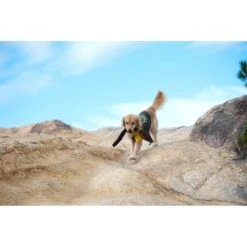 Fetch For Pets Harry Potter Nimbus 2000 Rope Dog Toy -PetSafe Kong Shop 367783 PT4. AC SS1800 V1645231909