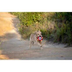 Fetch For Pets Harry Potter 9 3/4 Platform Frisbee Dog Toy -PetSafe Kong Shop 367785 PT3. AC SS1800 V1645221773